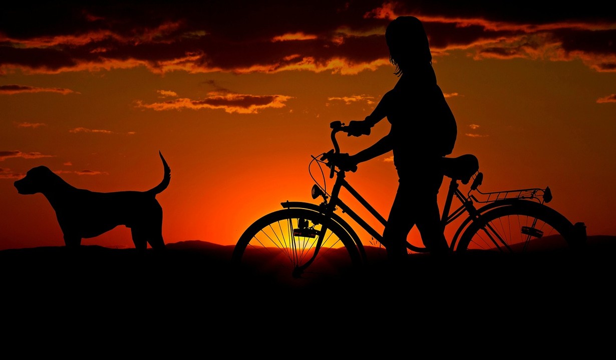 woman on bike with dog at sunset contemplating, if she's ready to sell her business